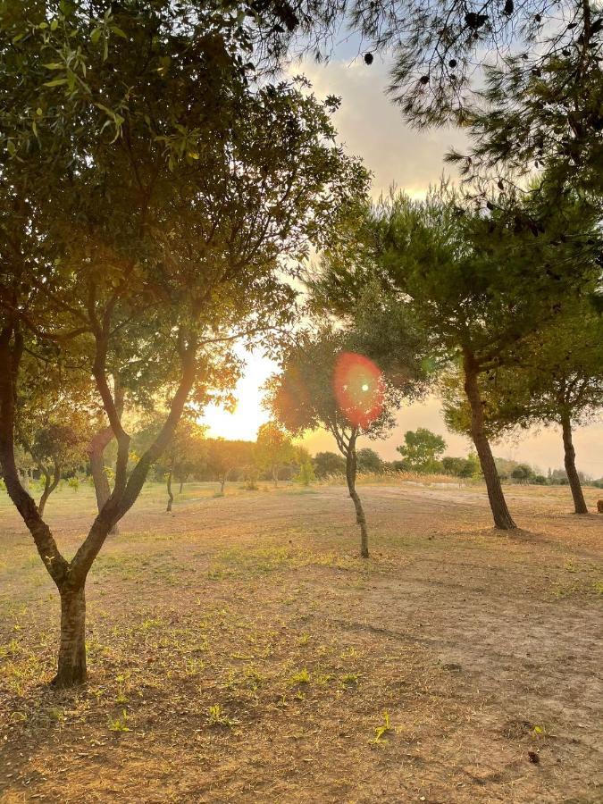 Tenuta Pozzello