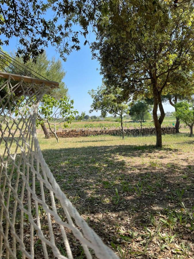 Tenuta Pozzello