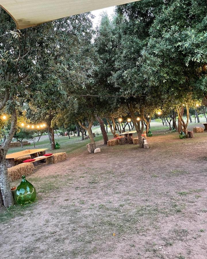 Tenuta Pozzello Bed and breakfast Torre dell'Orso